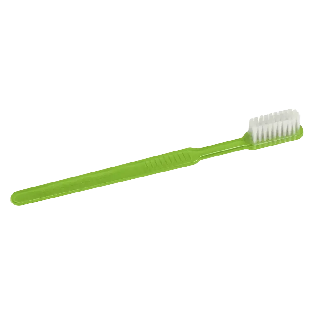 Cepillo dental desechable PS con pasta dentífrica, color lima, verde claro, 15 x 2,6 cm, Med-Comfort: comprar Cepillo dental desechable de poliestireno para viajes y uso antes del tratamiento dental, como suministros dentales.