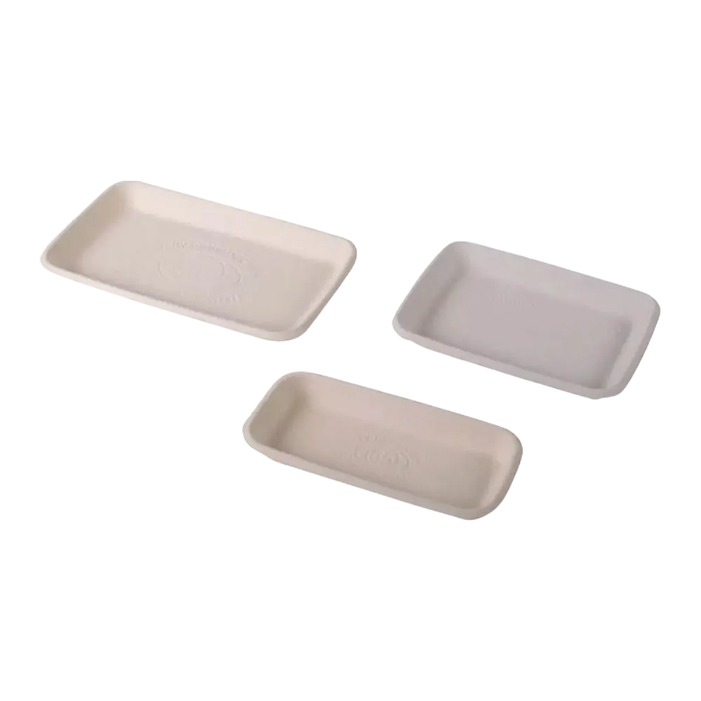 Contenedor de alimentos, bandeja de fibra moldeada, 180 x 90 x 22 mm, blanco, CareTainer: comprar Como dispositivo médico para su uso en el campo de la medicina para recoger fluidos corporales o para desechar instrumentos después de.